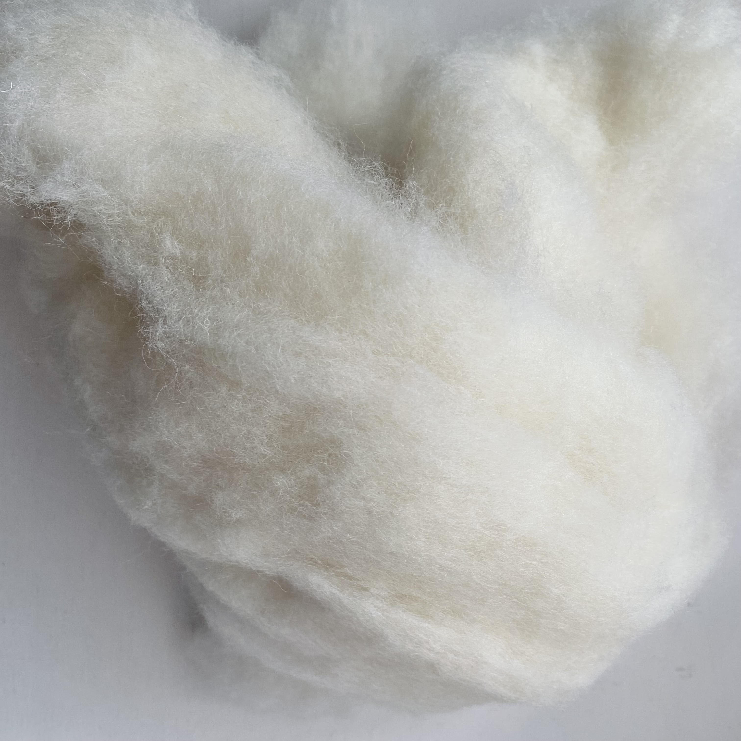 Stuffing (pure wool) - 50g