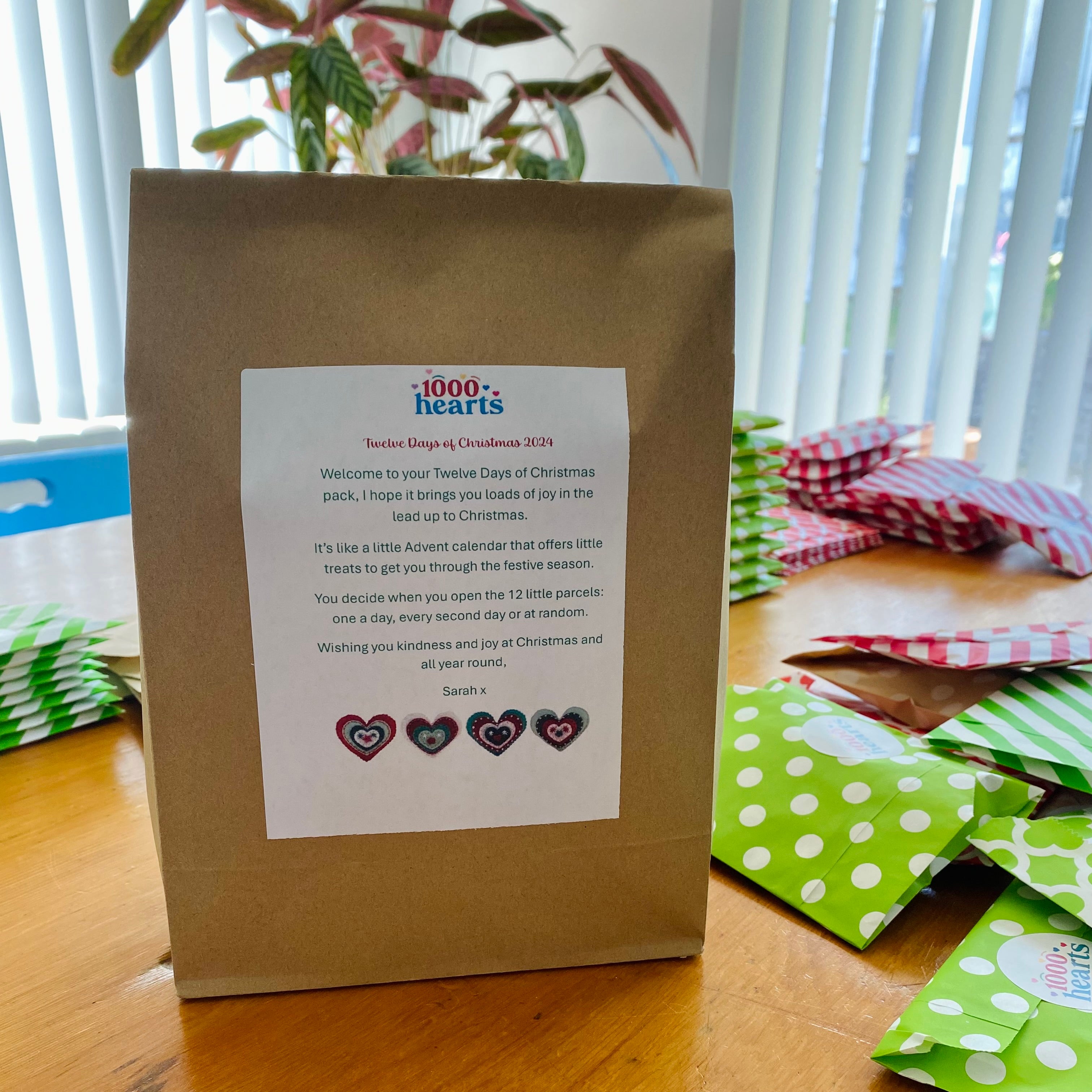 12 Days of Christmas Advent Pack