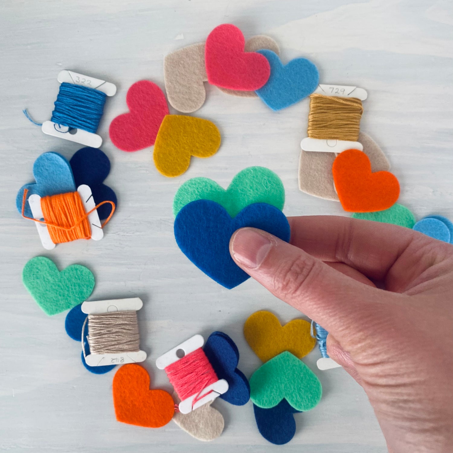 Kit - Palliative Care Tasmania Fundraiser